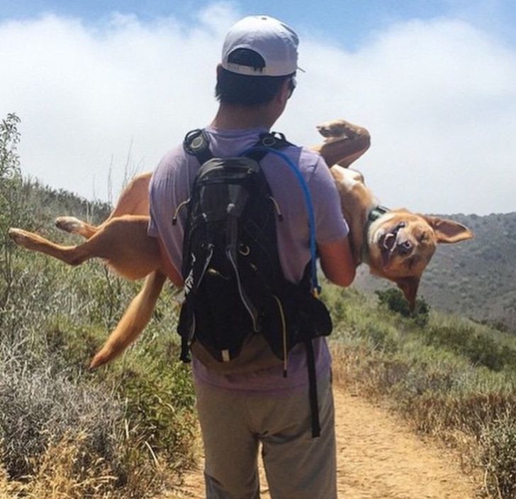 552dfb5356b97f60ccecc387f9