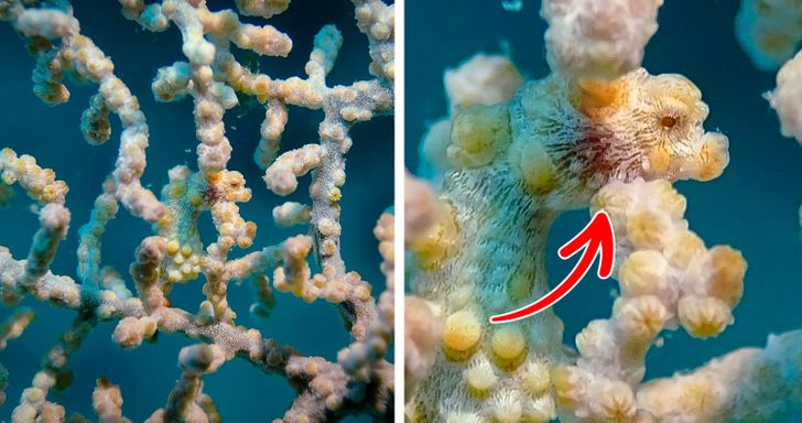 5532ea5ca8b95290b9f848f821