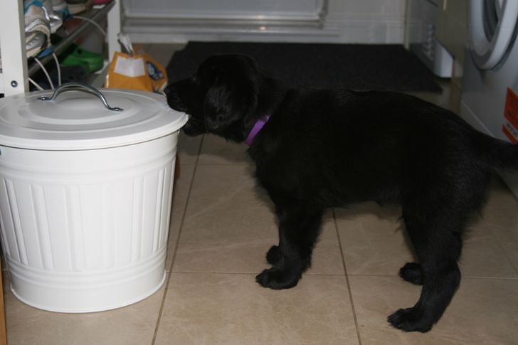 55362353e4b4648082b84023fc