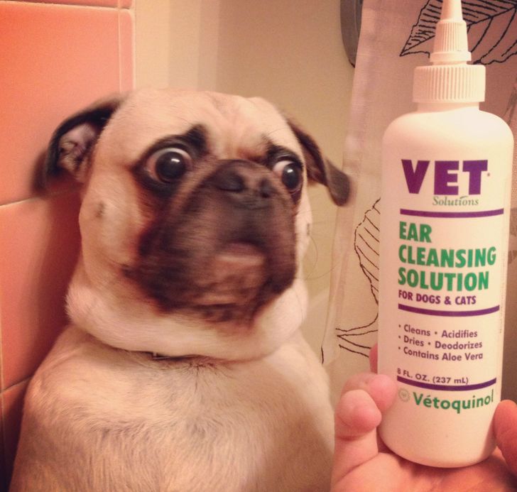 553af7588b9cec8d36c9265b38