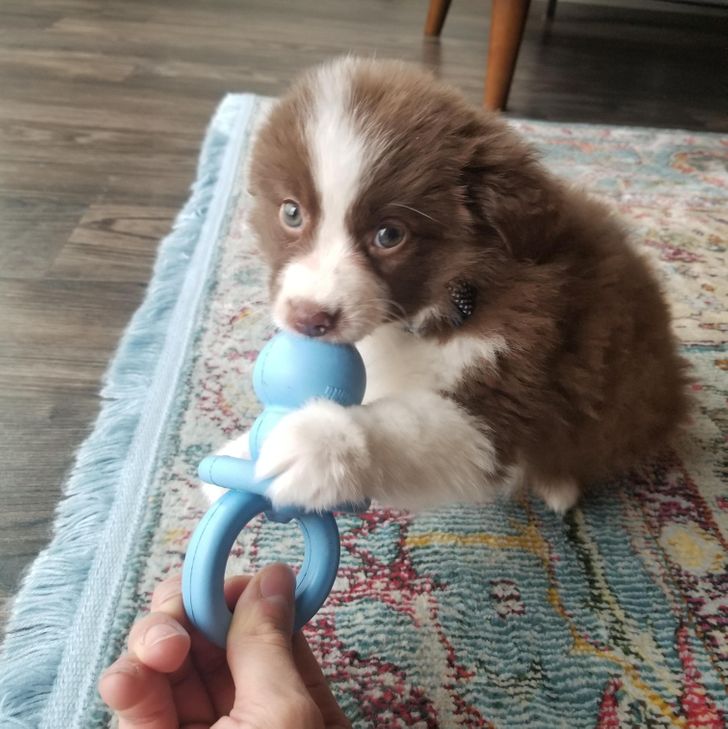 553dae5482ba0fb1ab5f575955