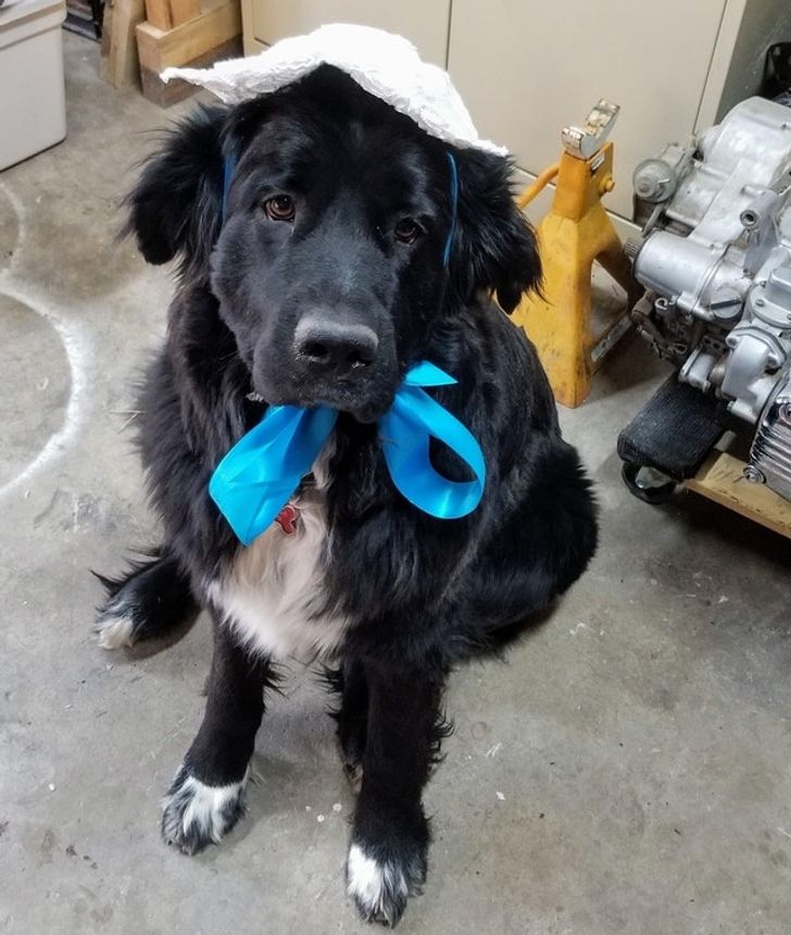 554f215a8087baf0bc433b5c4c