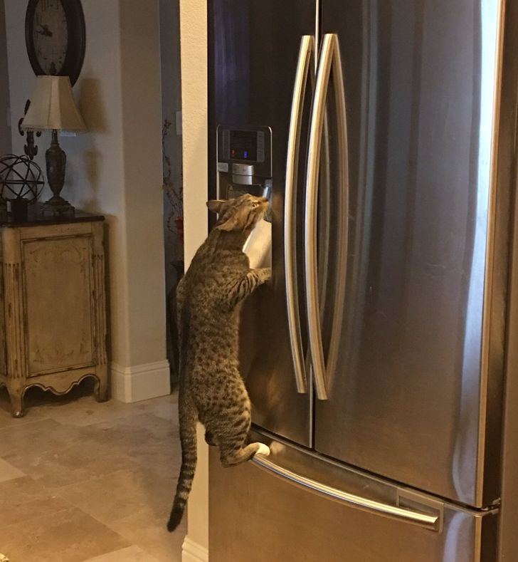 555320525b94bd23ea7ad8d376