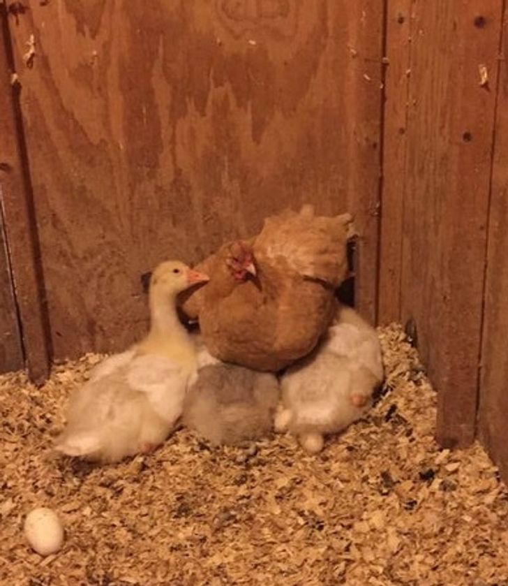 55532c516e840ae5d8cad1f3dc