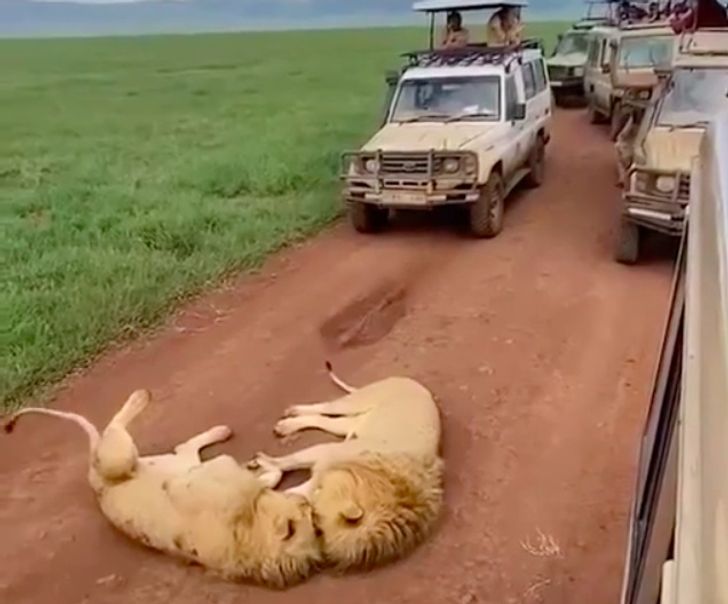 5559e75b30ae8958ad67edaf08