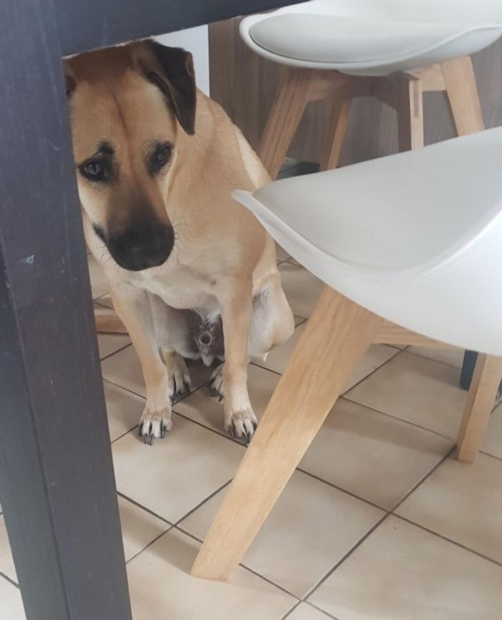 55692d5893a5734e7d76192d41