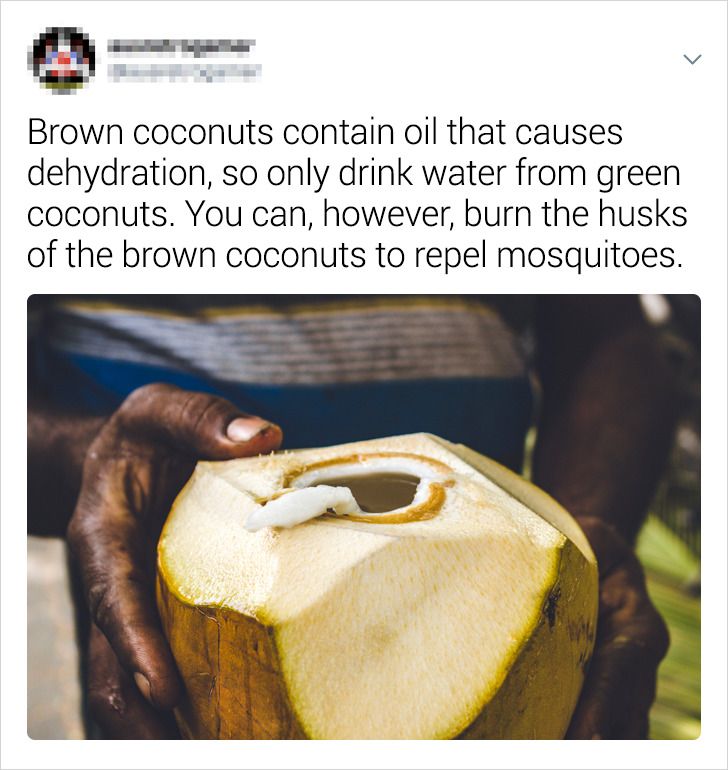 556d4c561ca0e293e637663f07