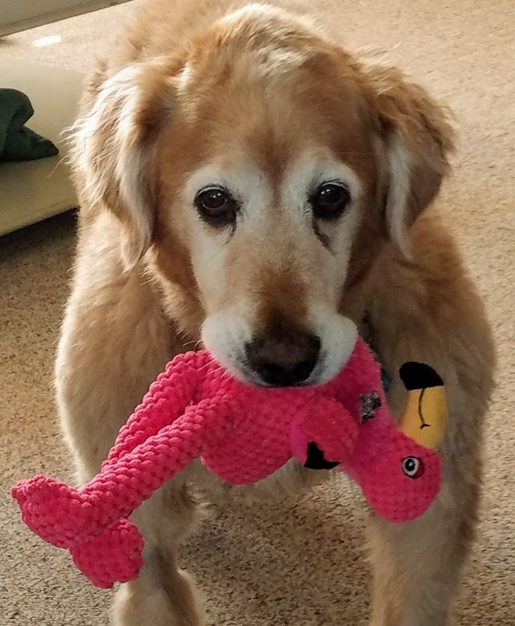 55779053e6ac1531f34197a63e