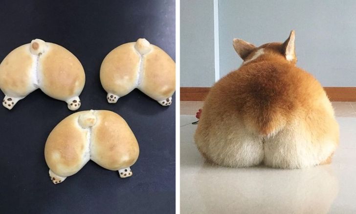 5579cd5f8791c8e81859832ebd 5579cd5f8791c8e81859832ebd