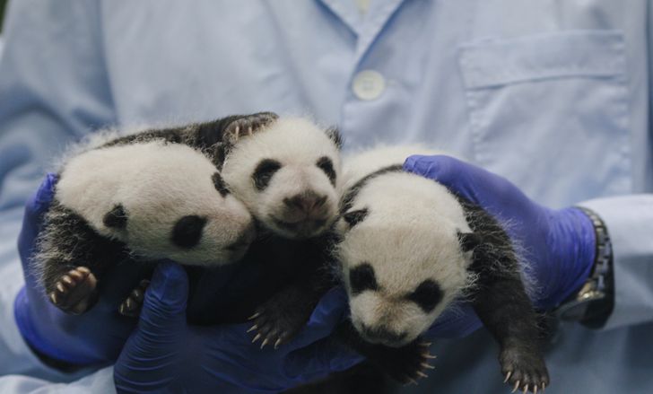 55830b510ebd56cd5dc5d70ea0