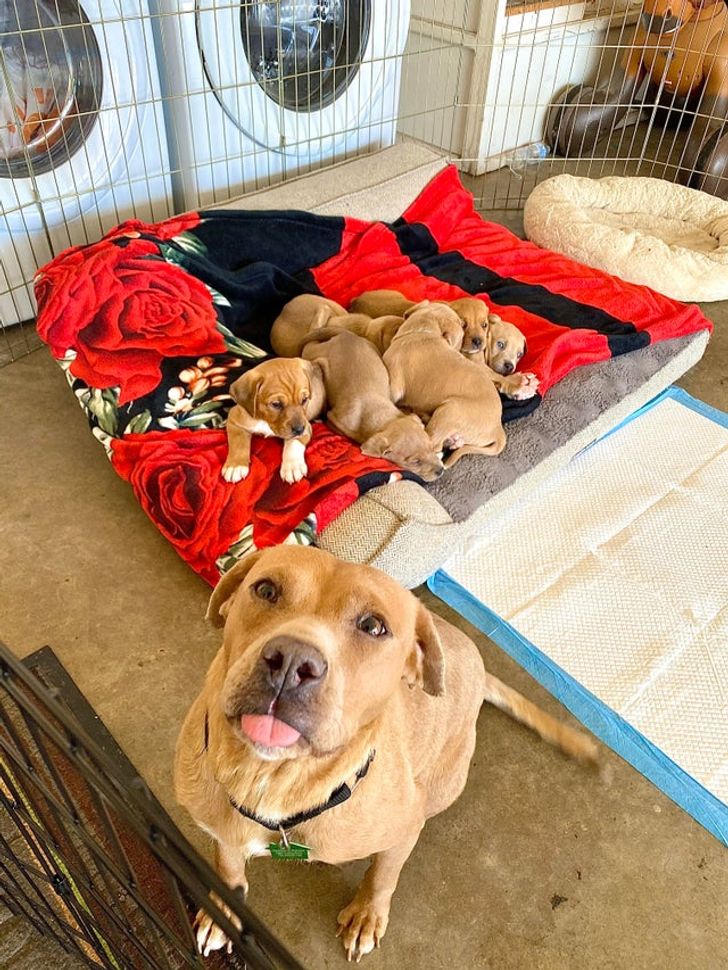 5584fb517ca4834b09df41d33d