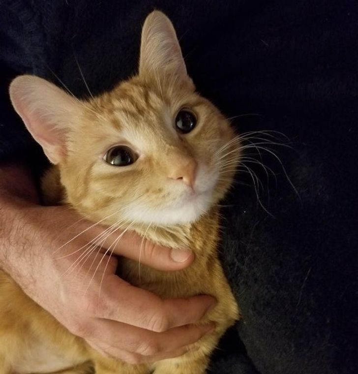 559c1152d9847d4d3f57fb3fd1