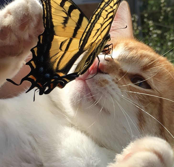 55b31159a180b4f1409017eace