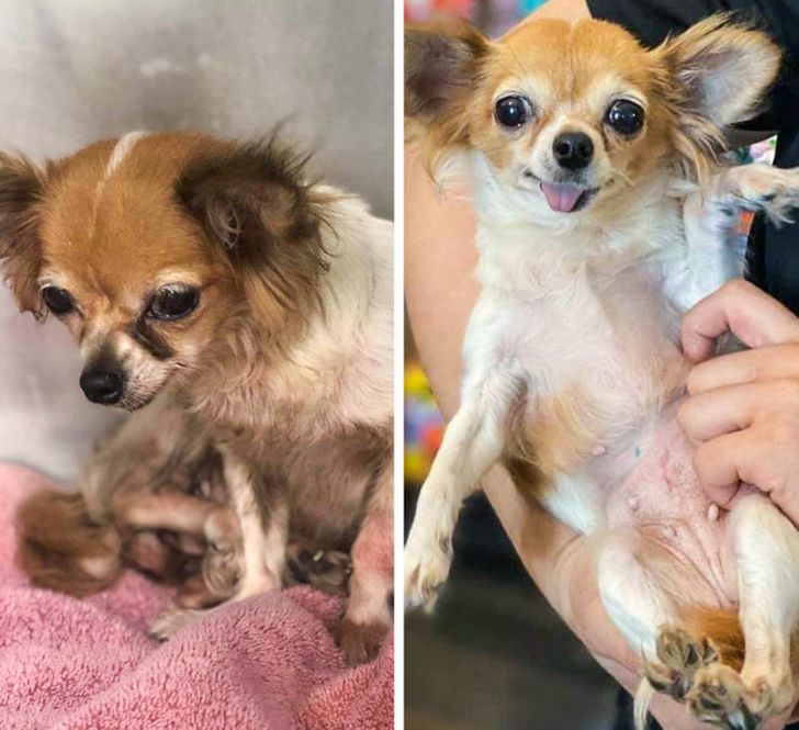 55b74b5b5ca3242661c5daeaaa