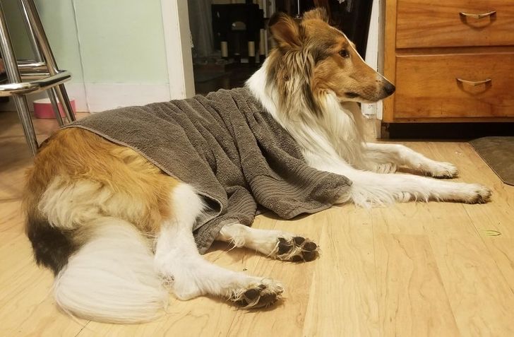 55c13d5ec0a2dcb58e863160dc