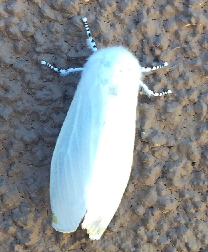 55ce025fc2bfe8358269b4ccc2