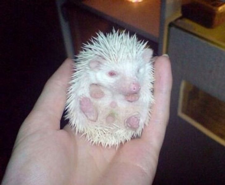 55d3bf50fb97434fcecda32757