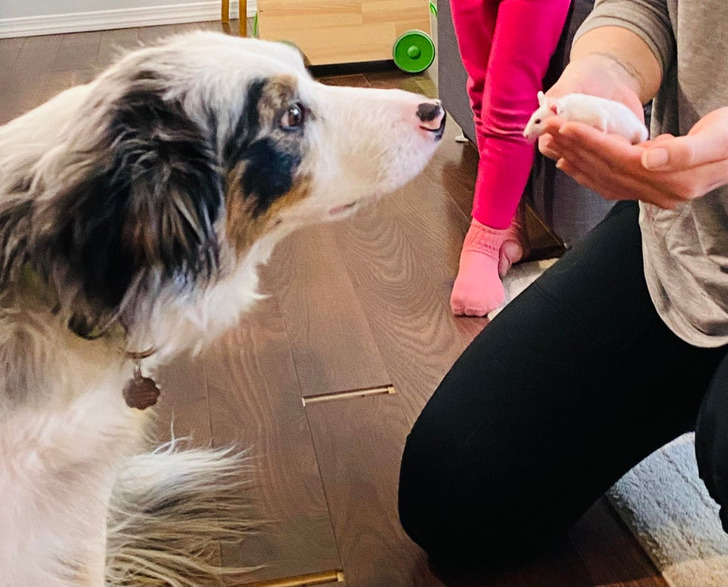 55e0bd5ca3a6b6d9ce333fae1a 55e0bd5ca3a6b6d9ce333fae1a