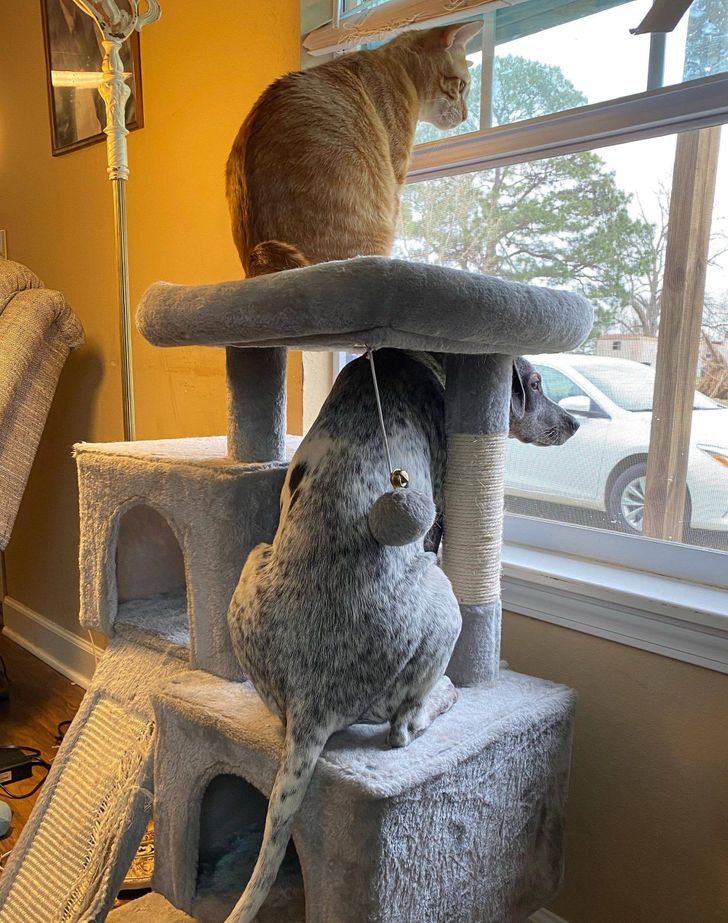 55ef365906acda17c169b4f927