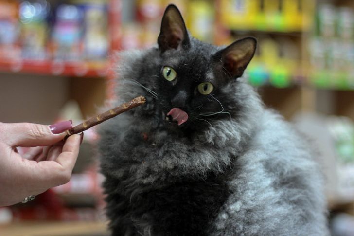 55f1da5c10ab3aae6f067f8da4