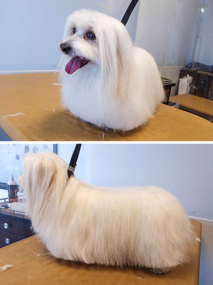 55ff955e56853833dc83e5265b 55ff955e56853833dc83e5265b