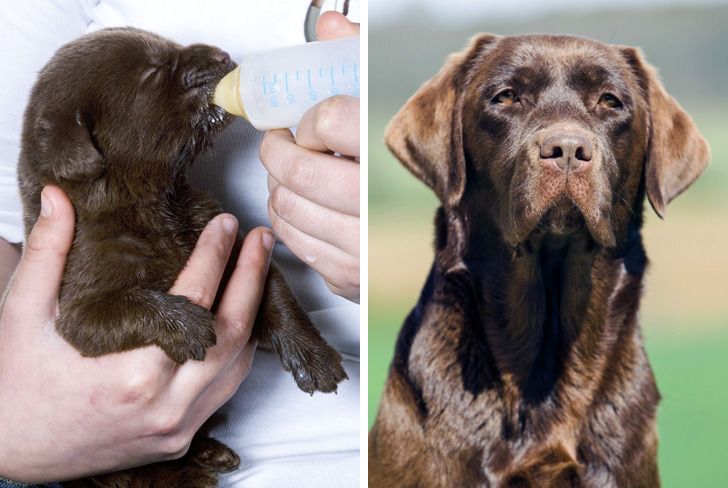 56078e53c9b9c2aeb5ebe53d01