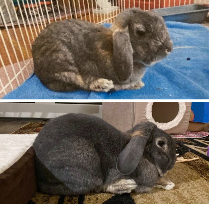 5610d05a968d036b5273b97848