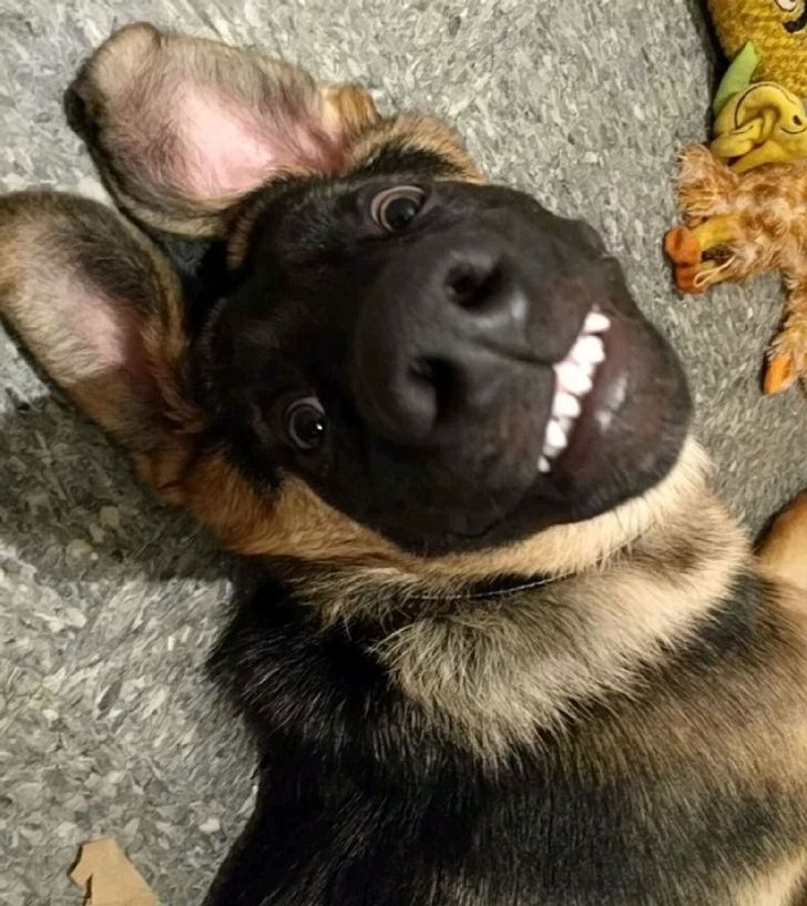 561293536081290fb195713c9e