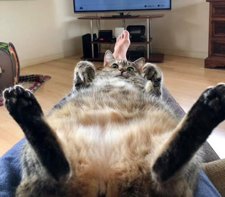 561886543e87974176aeee4b87