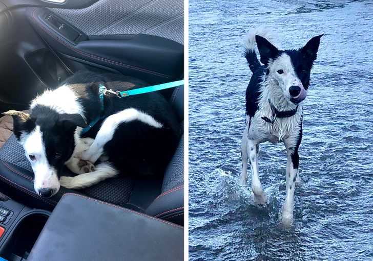 56193b55e9bdfce2829f103fe5