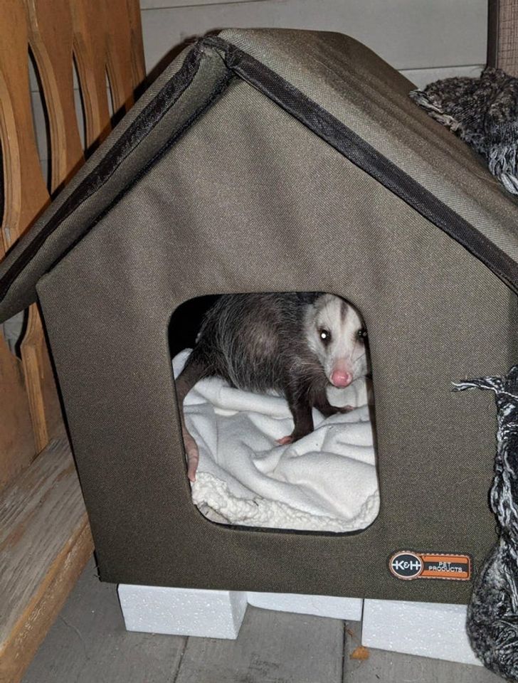 561bef5b7f8ca718ebb885e6ad