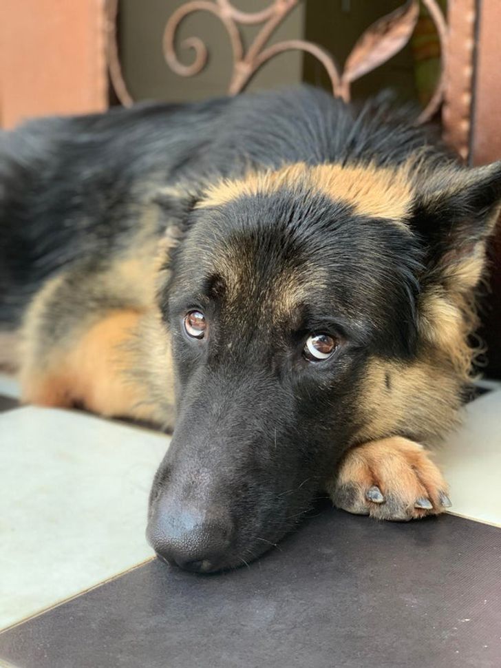 561c935fa5a2dd13529af4b2b4