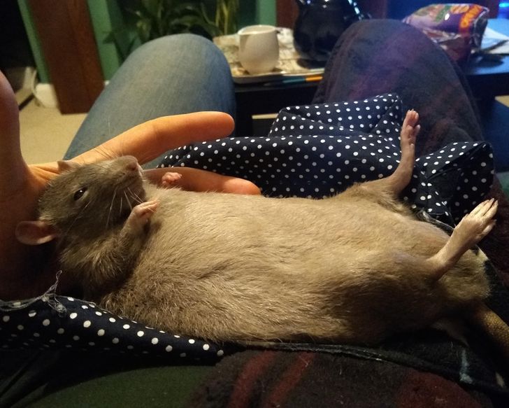 56213b5449926ff5041742c6b0