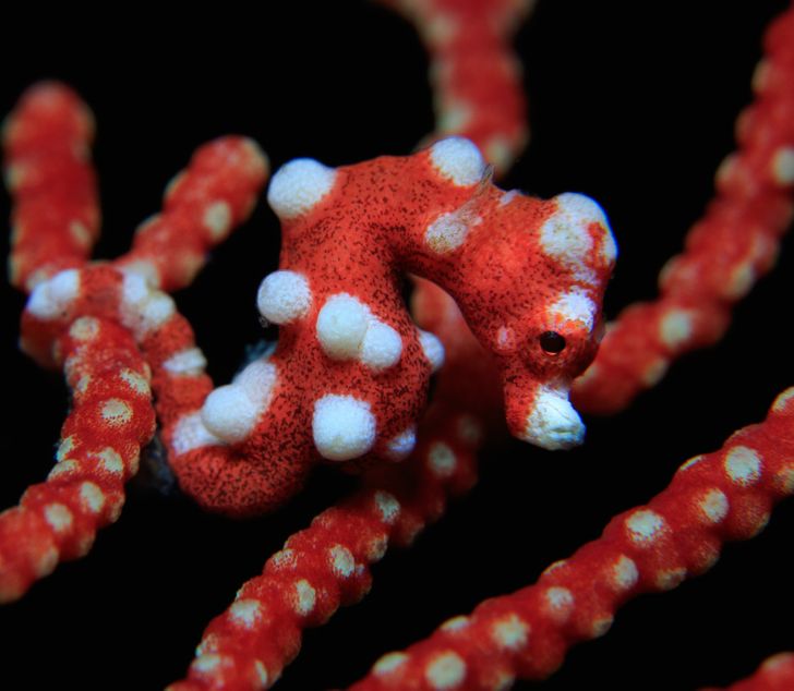 5623905a50b196c7113a3f0331