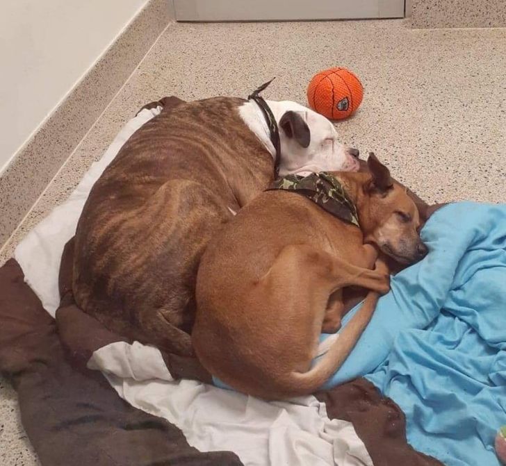 562c315b7eacf6360540d568f7