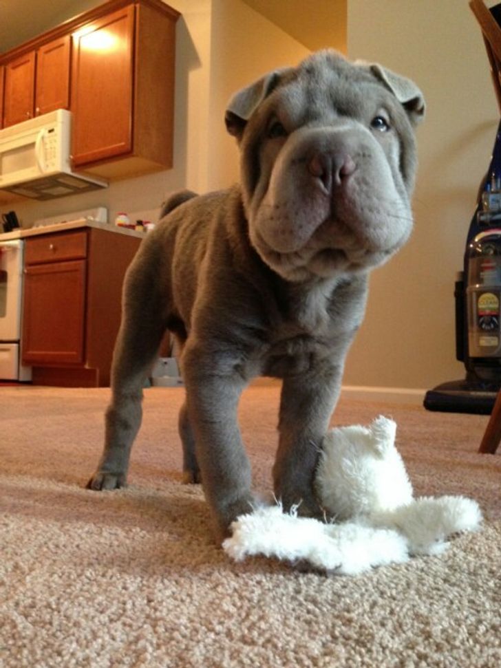 56338c5674a2f621ec652a377a