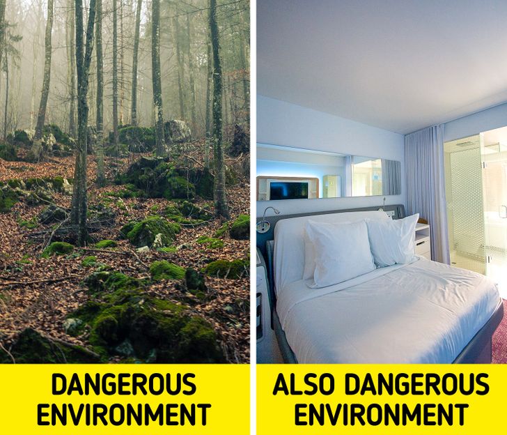 563dc95dffa3f438bff114b40a