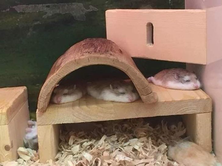 5640d25222a9ea288488bee7bb