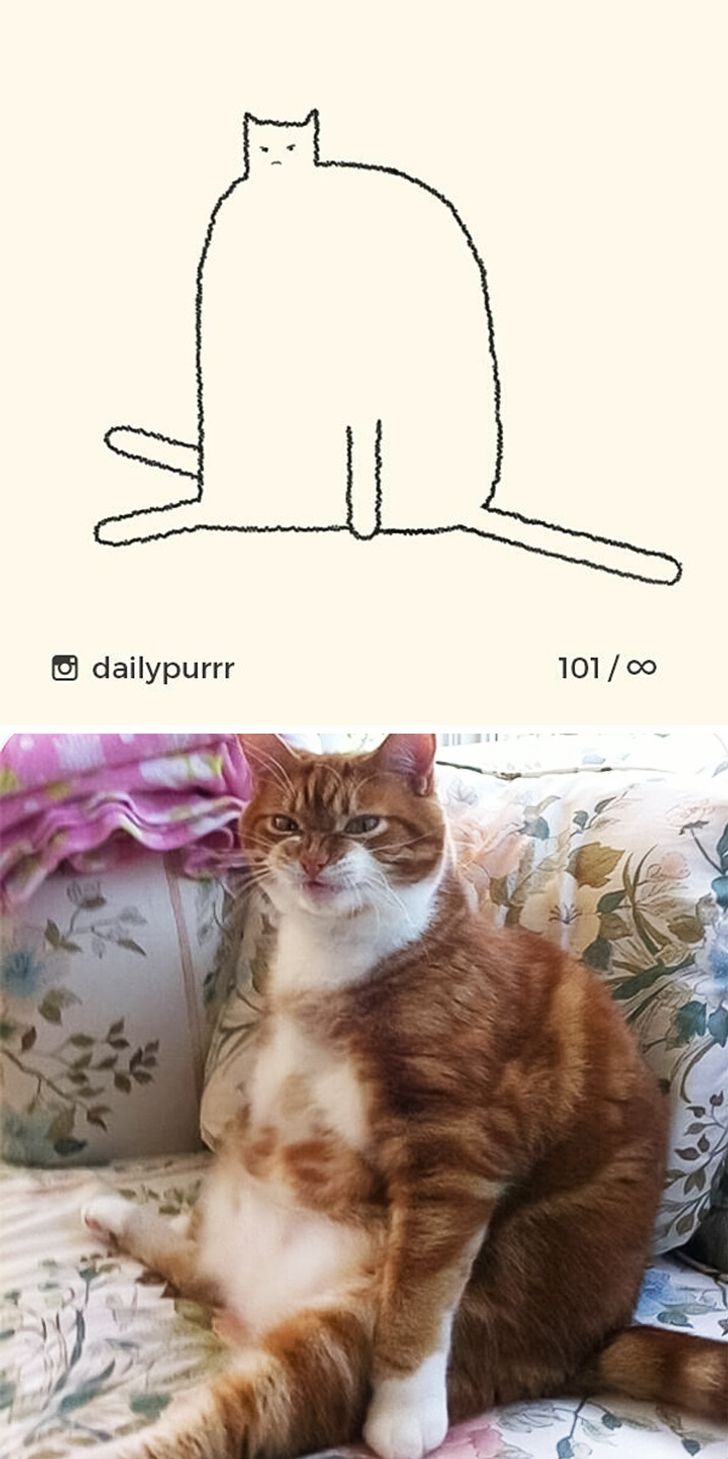 56420457b9a05cbfce15a3333a