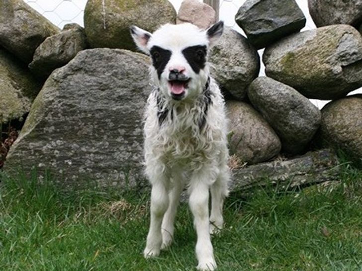 5645215916a1d924b118e718d5