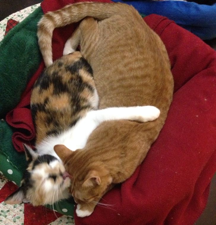 5647c2551eb7a2bcd4ba5524b5