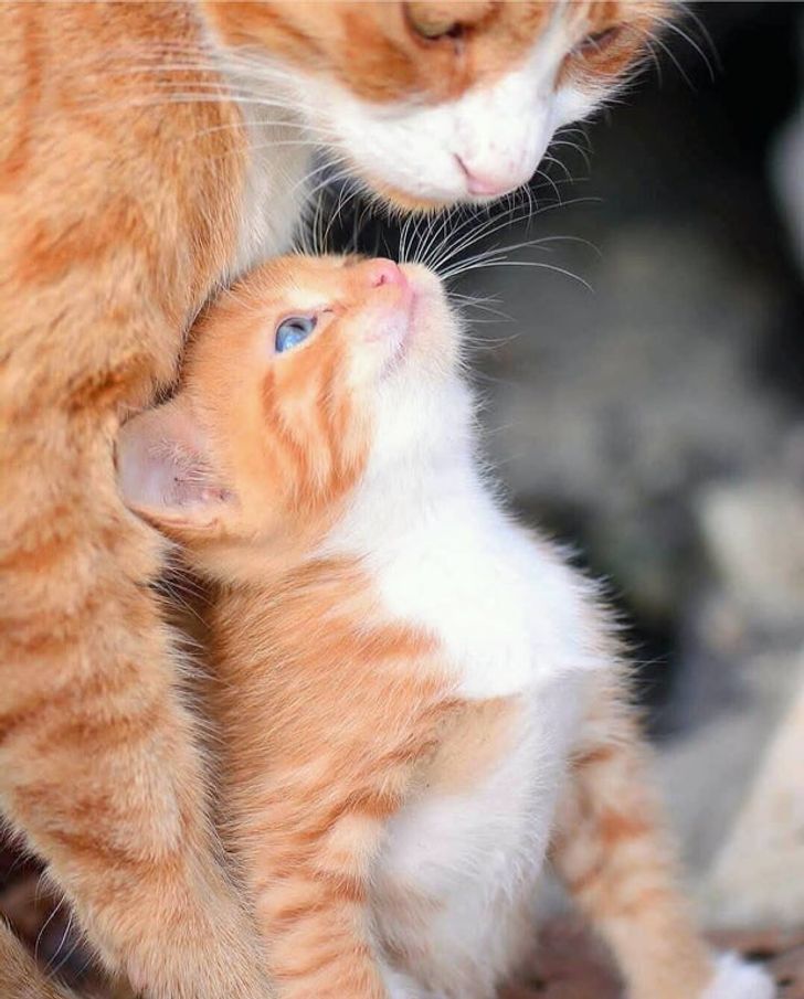 5651f350d288624c06292d267a