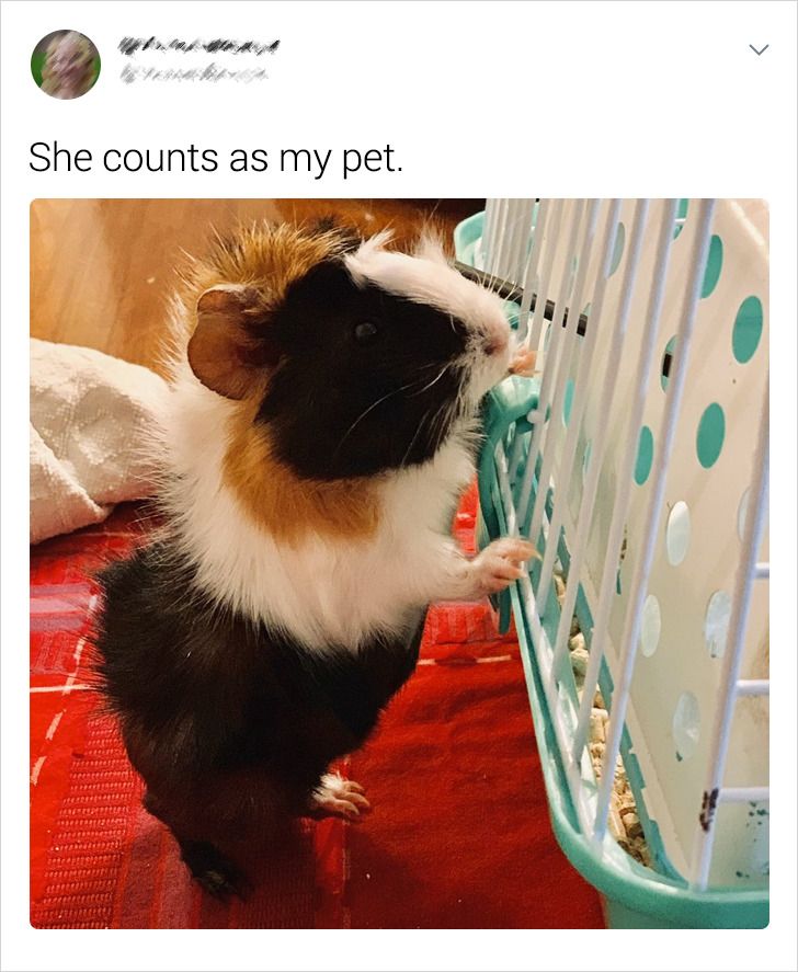 5652da54e2b7e3dc05755cc6bc