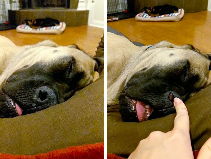 5659f45fb69d7f633bdd9e61d8