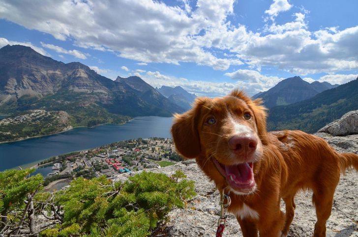 565baf587ab24c42bfbebf52bb