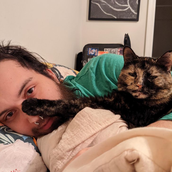 566e2750268567fdc6fac94138 566e2750268567fdc6fac94138