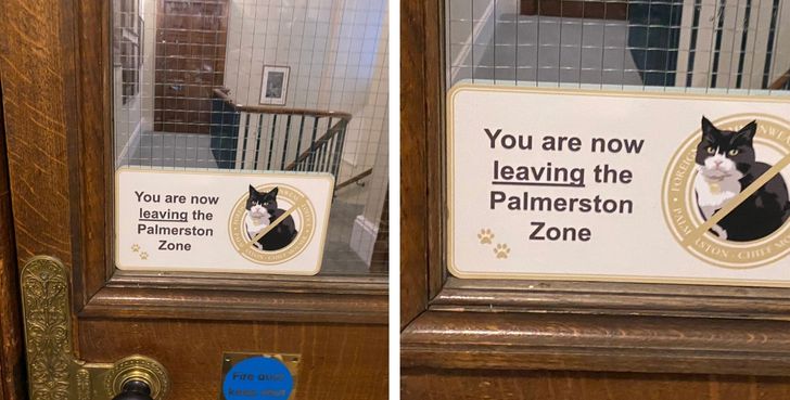 56704857cd9a472b6f1c25f711