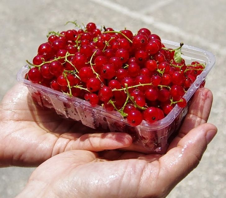 56759b50d3baaf1c92cb0a87bc