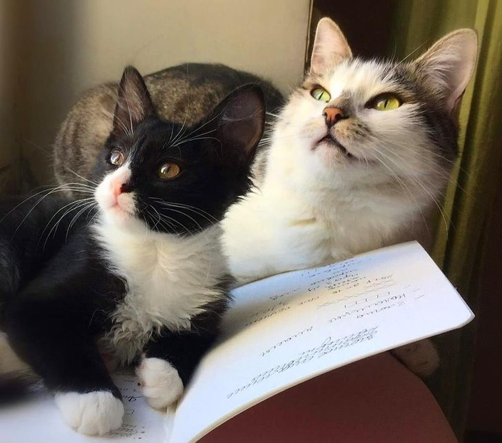 5684ab5d64af7966eb21396cbc