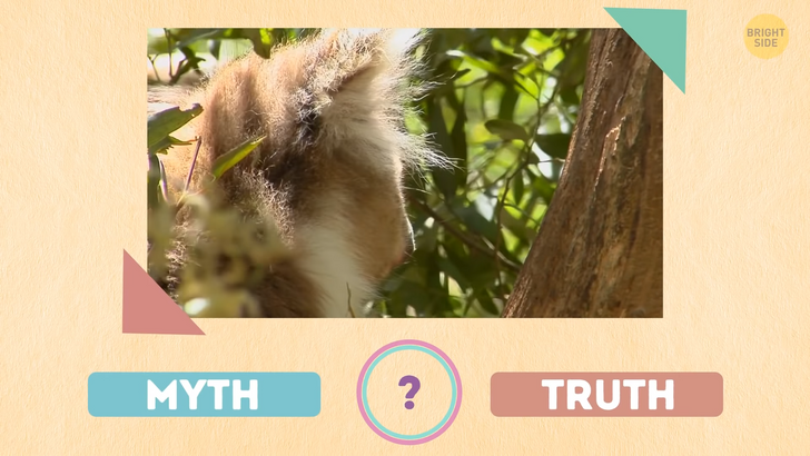 568b815a83866756361e35fc2d